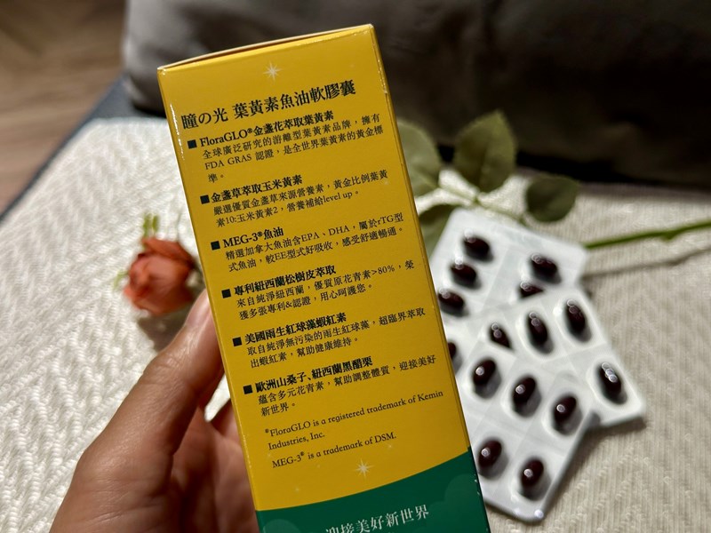 試用